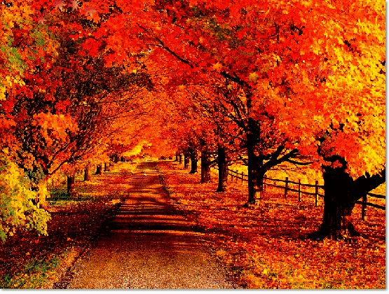 Enjoy the Feast of Autumn