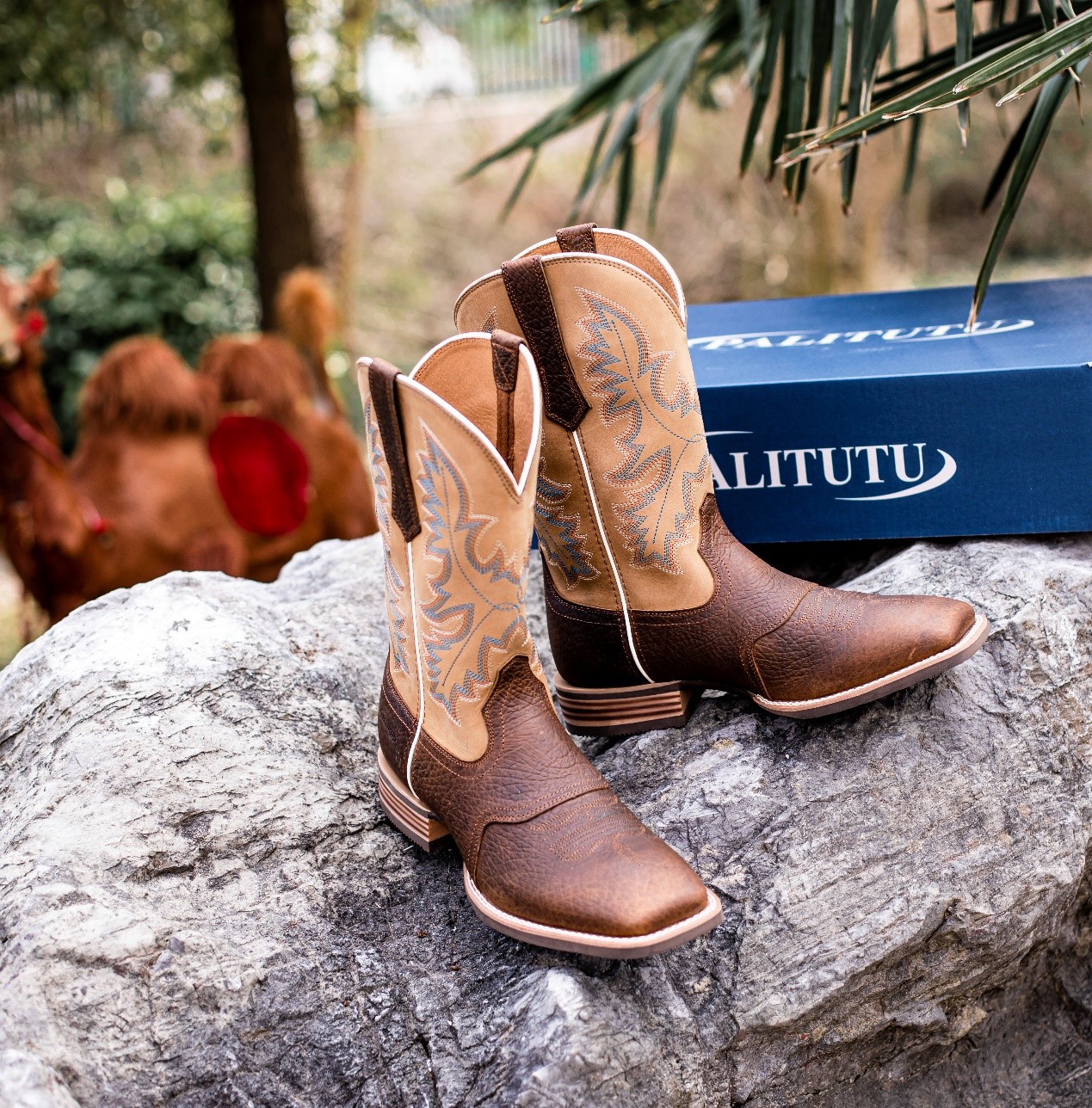 A Guide To Avoiding The Pitfalls of Buying Riding Boots