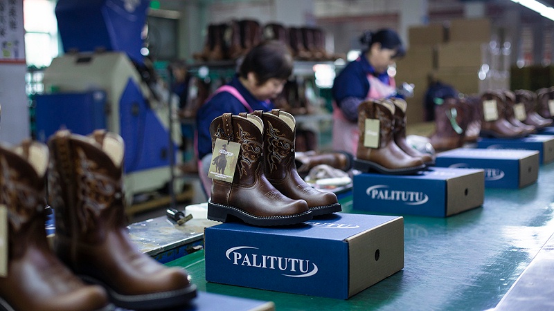 The Fantastic Journey Of Horse Boots On Christmas Day