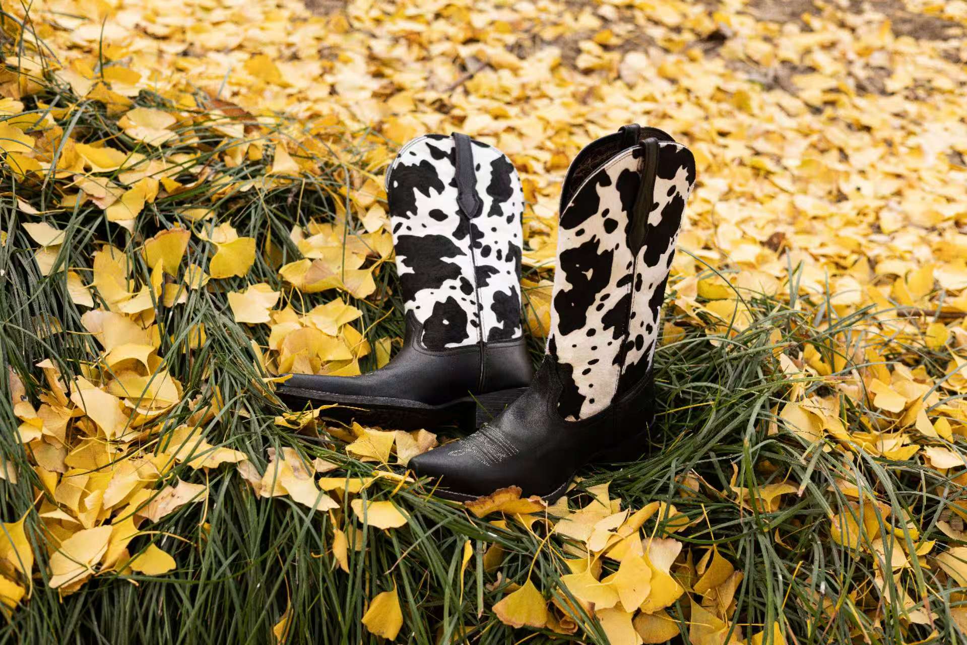 Wildness and elegance coexist 