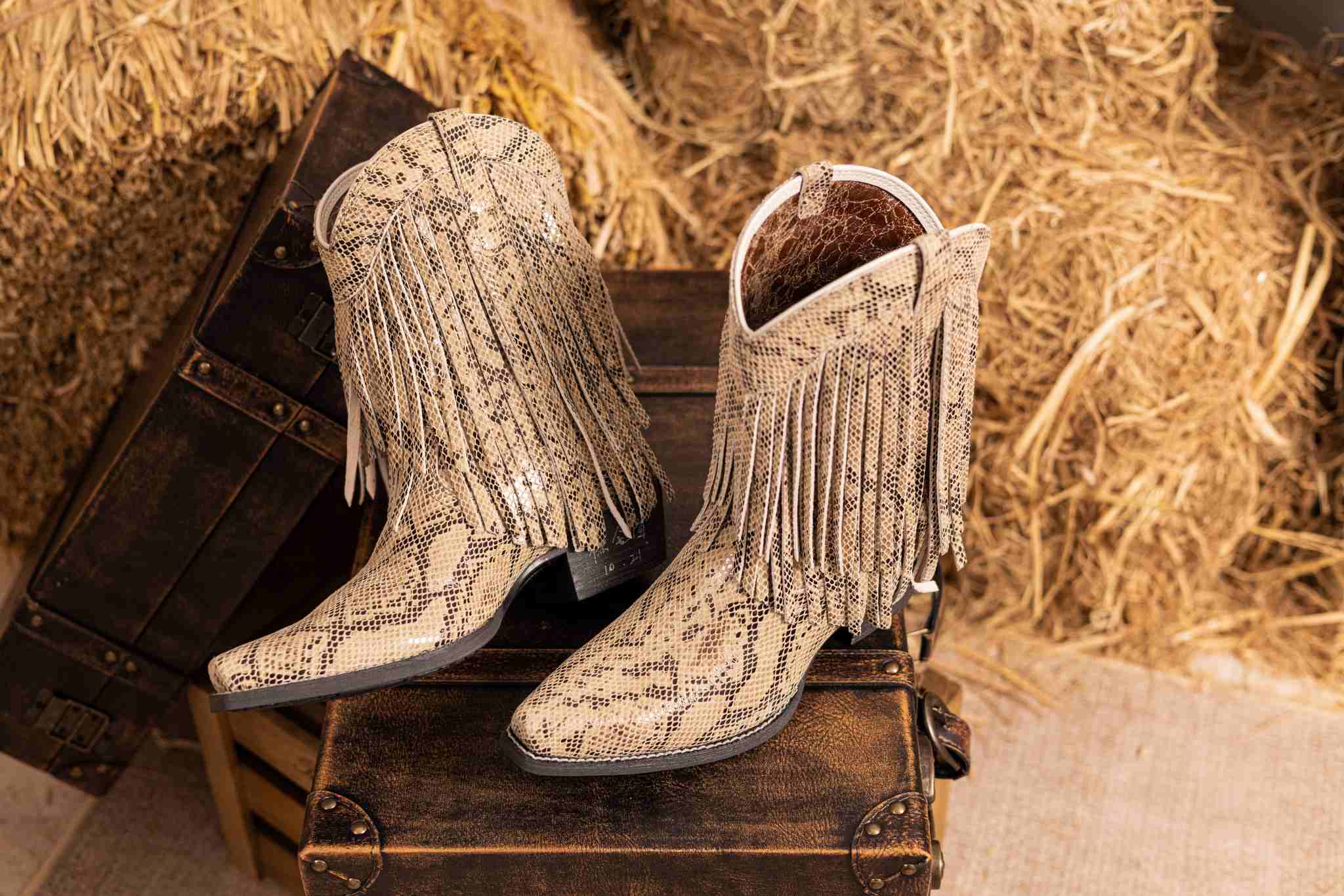 Fringed Western Cowboy Riding 