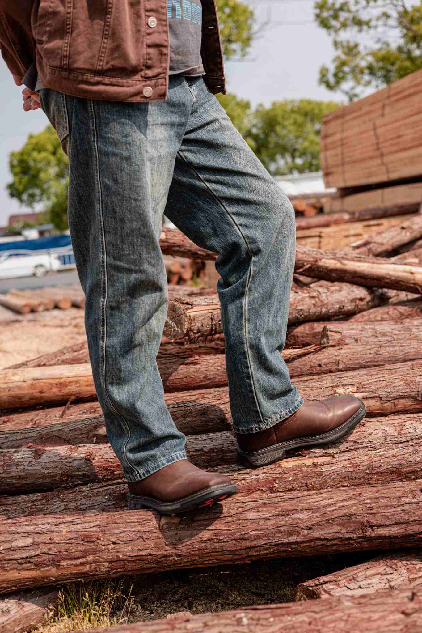 Armor of the Wilderness: The B