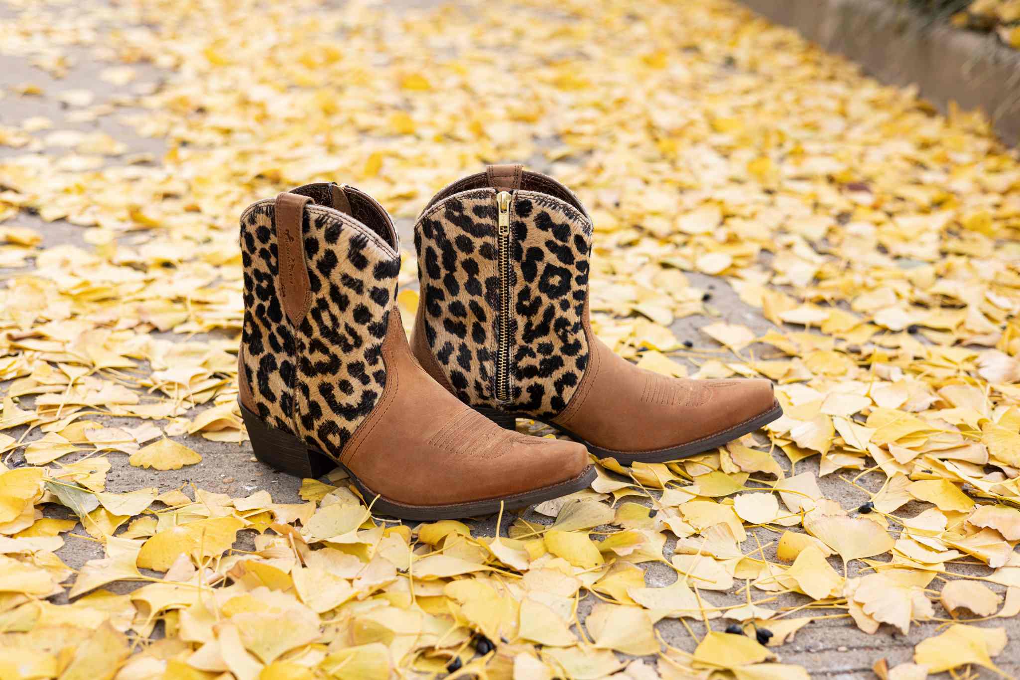 Craftsmanship Inheritance: The